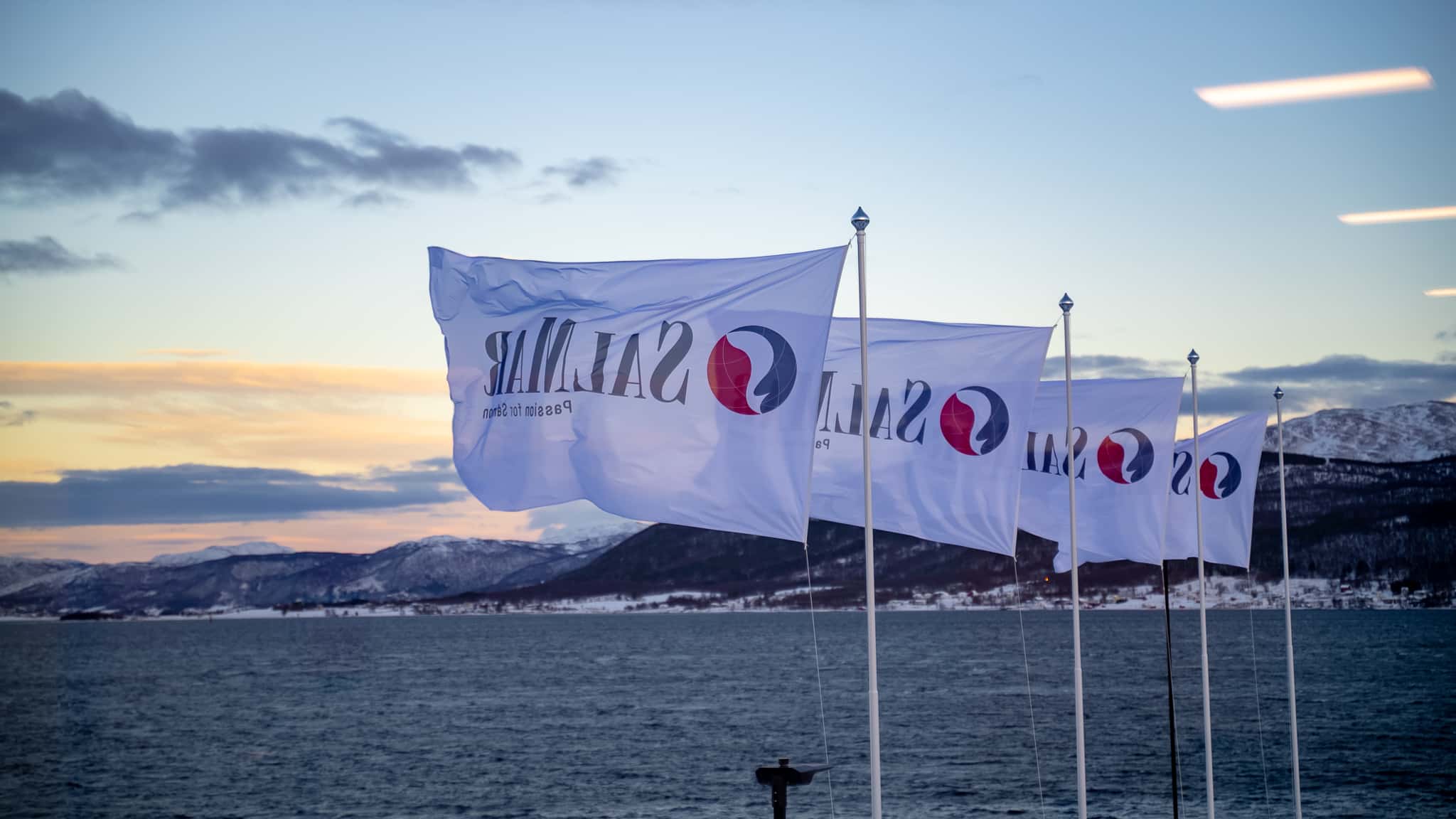 Produksjonsarbeidere 2025 - SalMar InnovaNor, Senja