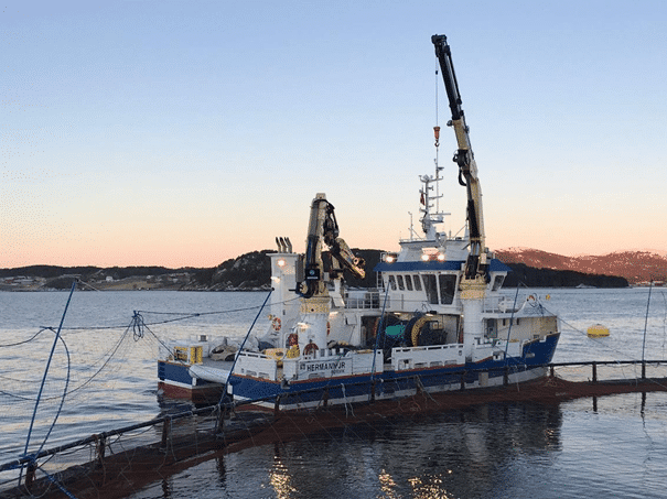 Vi søker skipper og matros til servicebåter i SalMar-Midt.