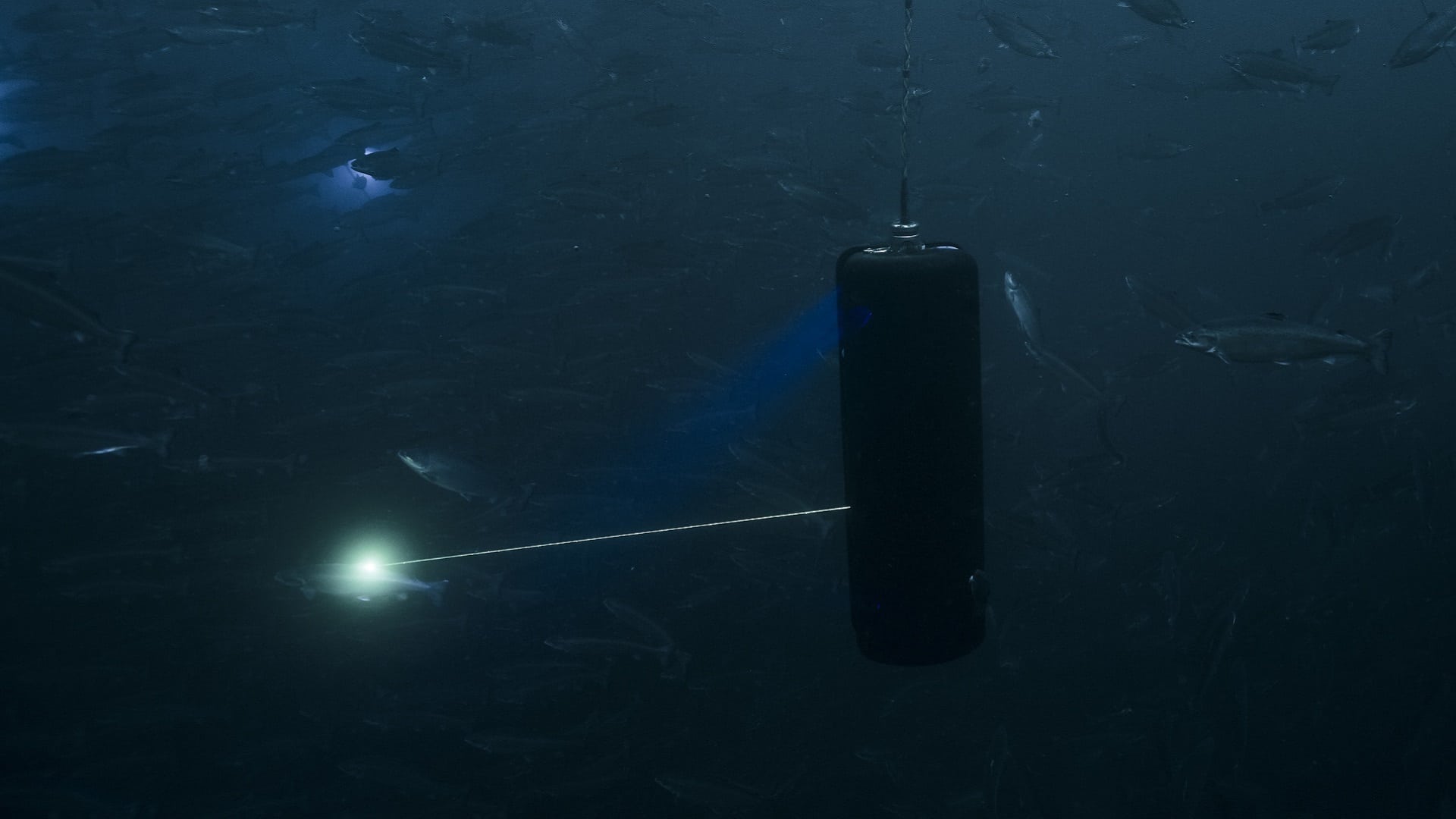 Bli med på fremtidens lakseeventyr – vi søker Laseroperatører til Senja!