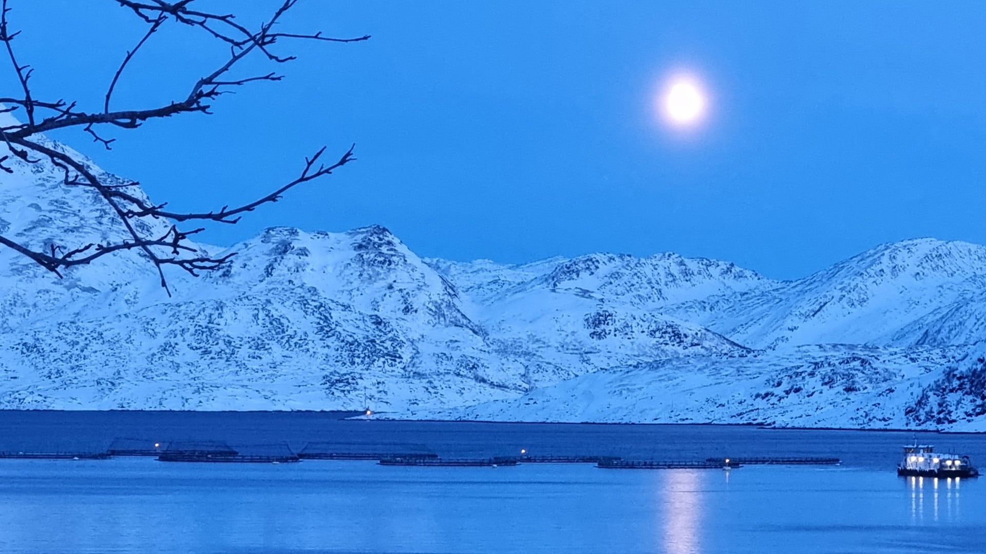 Praktisk anlagt og glad i frisk luft og laks? Røkterstillinger ledig hos SalMar i Finnmark!