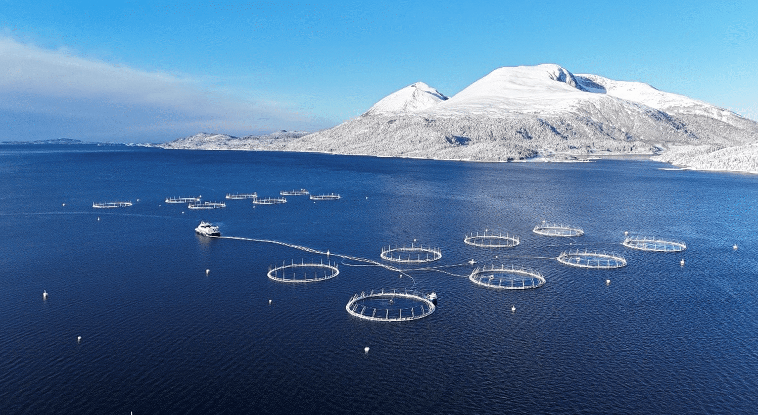 SalMar Farming søker lærlinger til våre matfiskanlegg og servicebåter i Midt fra Ålesund til Rørvik.