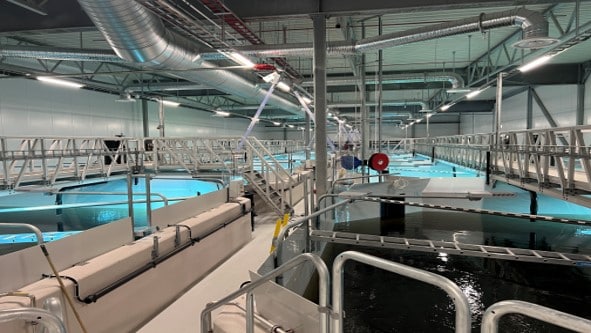 Vi søker røkter til klekkeri og startfôring på Senja