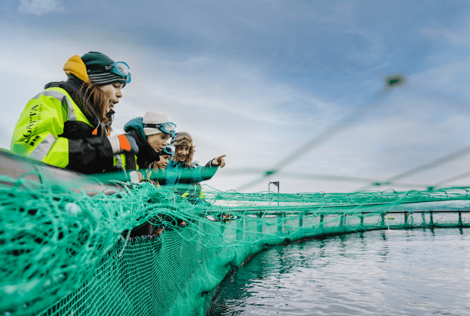 Aktivitetsansvarlig – Salmon Center Smøla