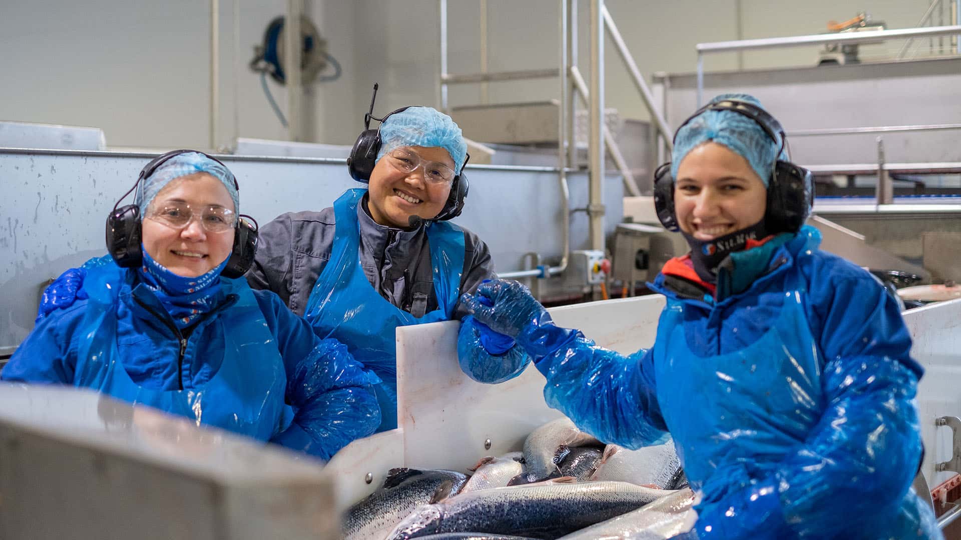 Er du på jakt etter en sommerjobb og klar for å lære noe nytt? / Looking for a summer job and ready to learn something new?